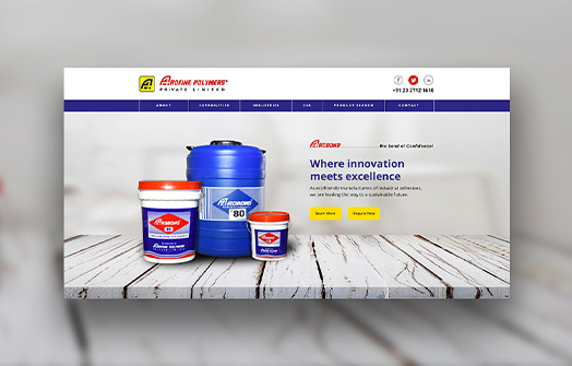 chittlesoft solutions portfolio